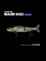 FACTORY TUNE【REAL SCALE】JOINTED CLAW 178 合川若鮎