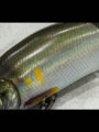 FACTORY TUNE【REAL SCALE】JOINTED CLAW 178 合川若鮎