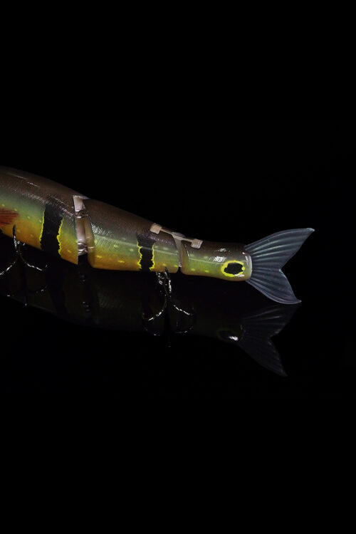 JOINTED CLAW SHIFT183×Z-BITE　【リアルピーコックバス】