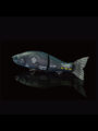 JOINTED CLAW 168【COMPANYCARMatteNavy】