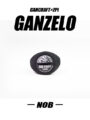 GANZELO-ノブ１個