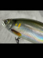 FACTORY TUNE【REAL SCALE】JOINTED CLAW 178 合川若鮎