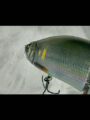 FACTORY TUNE【REAL SCALE】JOINTED CLAW 178 合川若鮎