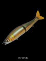 JOINTED CLAW230 MAGNUM【Type-S】
