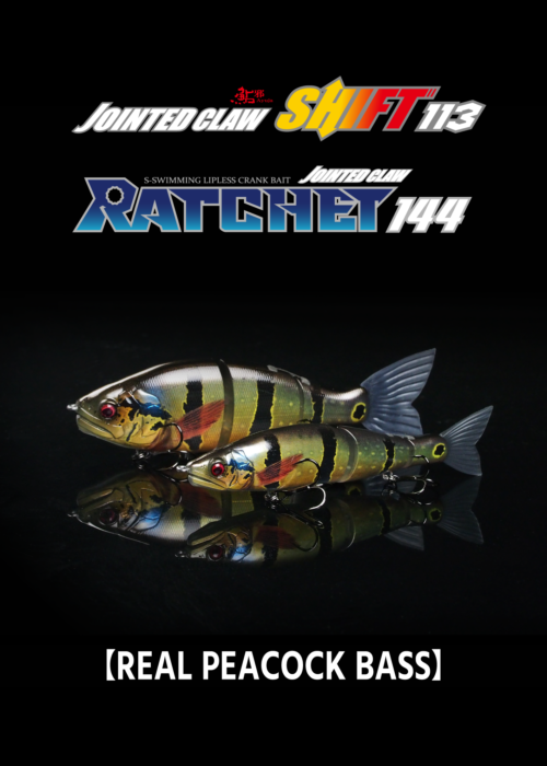 JOINTED CLAW SHIFT 113 /RATCHET144【REAL PEACOCK BASS】