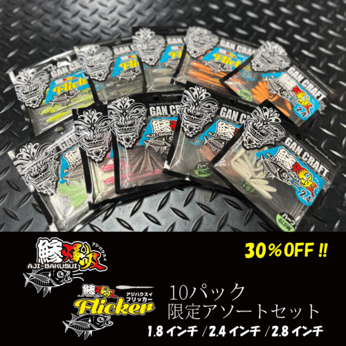 鯵用ワーム10pacセット