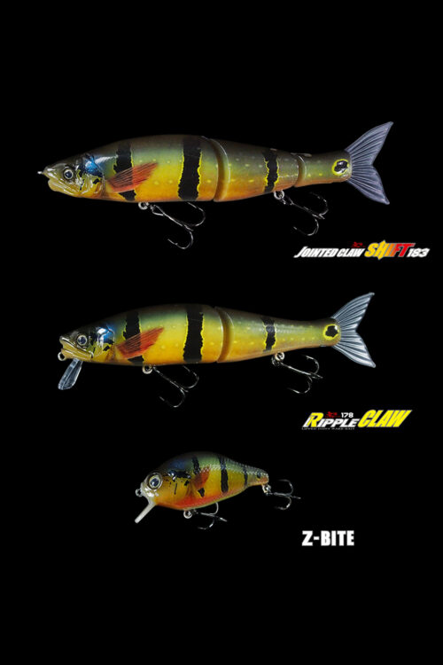 RIPPLE ×SHIFT183×Z-BITE×BOX【リアルピーコックバス】