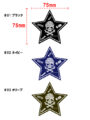 S-20 LURE STAR SKULL STICKER