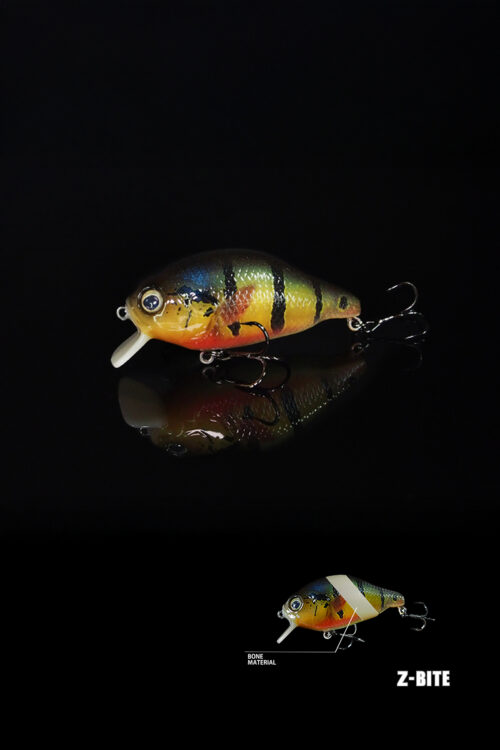 RIPPLE CLAW×Z-BITE 【リアルピーコックバス】